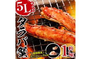 ＜生活応援！期間限定 カニ フレーク 付き＞ ボイル タラバガニ(約1kg・5L) 蟹 冷凍 かに たらばがに 蟹しゃぶ 蟹鍋 天ぷら ぞうすい 味噌汁 脚肉 足 海鮮 肩 【丸正水産】【AW-117】