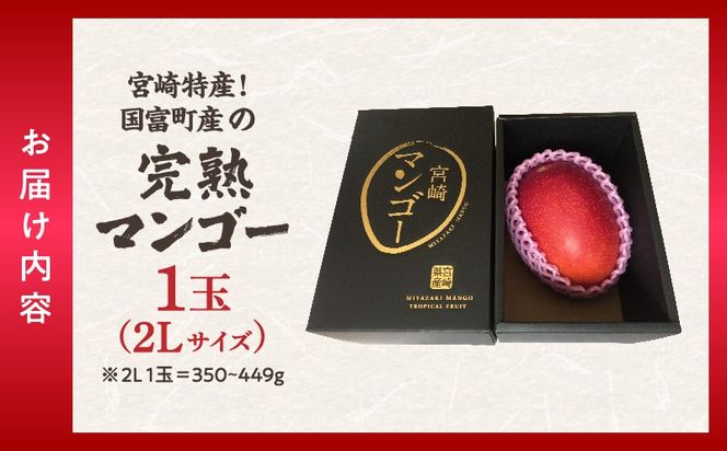 宮崎特産！国富町産の完熟マンゴー 1玉（2L）