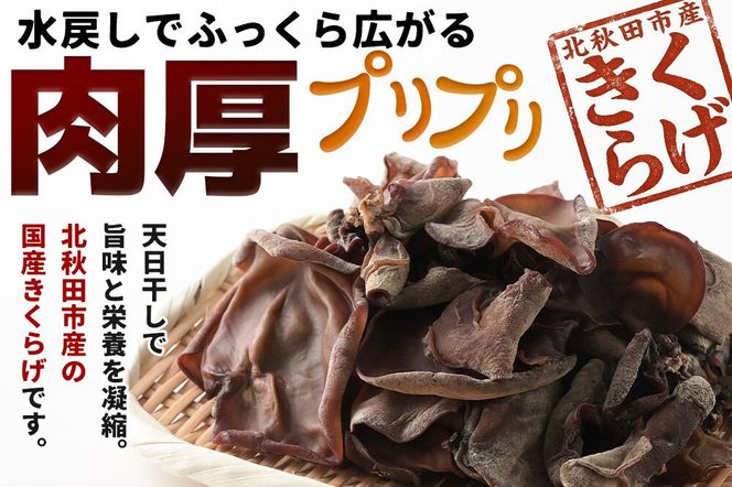 国産 乾燥きくらげ 100g 天日干し 秋田県北秋田市産 [きくらげ 木耳 キクラゲ 乾燥 手のひらサイズ 秋田県 北秋田市]|grmy-020201