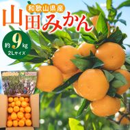 【2026年先行予約】山田みかん約9kg（2Lサイズ）_AM6005