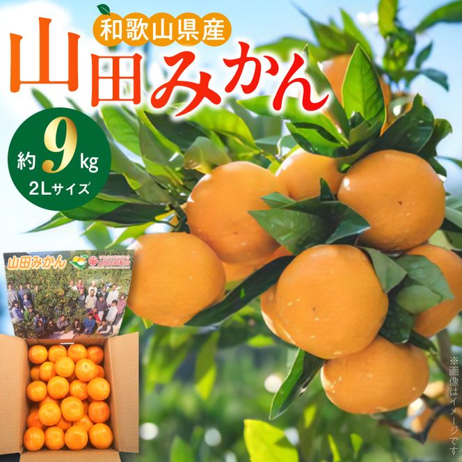 【2026年先行予約】山田みかん約9kg（2Lサイズ）_AM6005