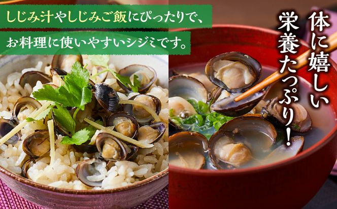 【訳あり】漁師直送！宍道湖産ヤマトシジミ・Mサイズ冷凍3.0kg 322032_EN005