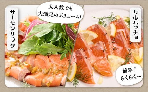 ギンサケサーモン【800g】 小分け 下処理不要 絶品の「塩締め」レシピ ふるさと納税 海鮮 サーモン 鮭 魚 銀鮭 刺身 生食用 さけ サケ ふるさと ランキング 人気 魚介類 魚介 北海道 白糠町