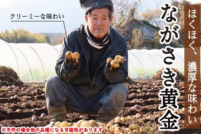 BI118 じゃがいも ＆ 人参 セット ( ながさき黄金＆冬人参 ) 約 5kg [ 野菜 野菜セット 詰め合わせ ジャガイモ にんじん ニンジン 5kg 5キロ 黄金 贅沢宝庫 長崎県 島原市 ]