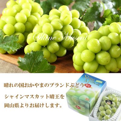 【2026年7月上旬より発送】岡山県産 シャインマスカット 晴王 800g×1房 ぶどう 葡萄 ブドウ フルーツ 果物
