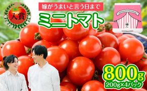 【先行予約】 嫁がうまいと言う日まで 800g トマト ミニトマト とまと 野菜 やさい サラダ 新鮮 リコピン 特産品 熊本県 八代市 【2026年12月上旬より順次発送】
