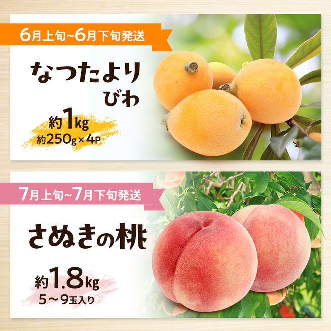 讃岐のフルーツ定期便（全10回）