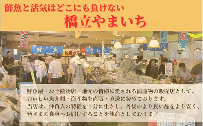 橋立やまいち自慢の魚のつみれ 1パックセット（冷蔵）300g つみれ 魚 鍋 京都府 宮津市 myz02 myz11 myz17