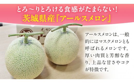 【 先行予約 】茨城県産 アールスメロン 秀品 3L サイズ × 2玉 入り 【 2026年8月下旬から発送 】 おすすめ JA全農いばらき JA メロン めろん ふるさと納税 フルーツ 予約 マスクメロン くだもの 果物 国産旬 定番 旬 期間限定 青肉 果物
