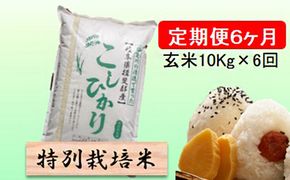 定期便 6カ月【 令和8年産 】毎月  玄米 10kg【 コシヒカリ 】