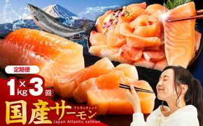 nbjZ0006 【定期便】国産アトランティックサーモン 1kg ポーション 全3回【小分け 真空パック 訳あり サイズ不揃い 刺身 海鮮丼 さーもん 鮭 さけ シャケ しゃけ 冷凍】