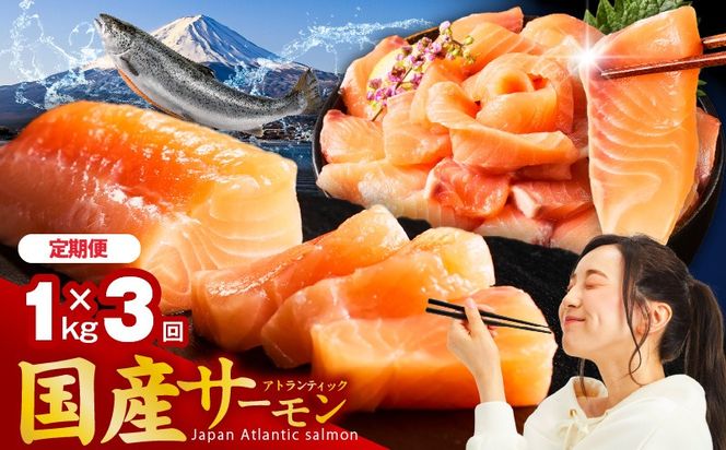 nbjZ0006 【定期便】国産アトランティックサーモン 1kg ポーション 全3回【小分け 真空パック 訳あり サイズ不揃い 刺身 海鮮丼 さーもん 鮭 さけ シャケ しゃけ 冷凍】
