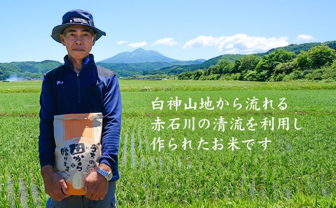 米 令和8年産 はれわたり 玄米 10kg (5kg×2袋) こめ お米 おこめ コメ ご飯 ごはん 令和8年 山下農園 青森 青森県