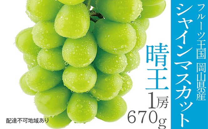 ぶどう 2026年 先行予約 シャイン マスカット 晴王 1房 約670g 晴れの国 おかやま 岡山県産 フルーツ王国 果物王国 食後 産地直送 