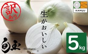 【5/31まで受付】(2027年発送) ≪『満天☆青空レストラン』で紹介されました！≫ 訳あり 新玉ねぎ 生がおいしい 神重農産のブランド玉ねぎ「旬玉」5kg ブランド玉ねぎ 玉ねぎ 国産 愛知県産 野菜 やさい 農家直送 畑直送 旬 期間限定 たまねぎ 先行予約 旬 特産 高評価 高リピート 人気 H105-247