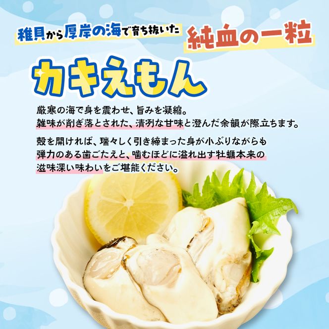 数量限定 北海道 厚岸産 ムキえもん 500g  カキの剥き身 牡蠣 カキ かき カキえもん