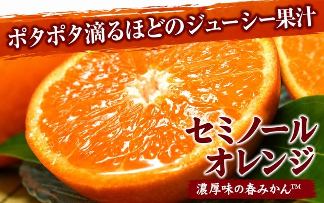 セミノールオレンジ 約5kg/サイズおまかせ　※2027年4月中旬～2027年5月下旬頃に順次発送予定(お届け日指定不可)　紀伊国屋文左衛門本舗　【ntbt481B】