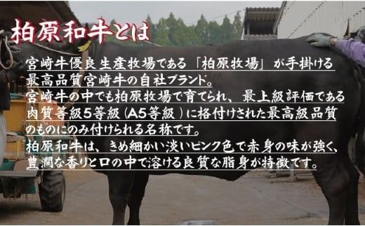 【自社農場宮崎牛】柏原和牛モモ しゃぶしゃぶ・すき焼き用 1キロ（国産 牛肉 お肉 ブランド牛 黒毛和牛 すき焼き しゃぶしゃぶ A4 A5）