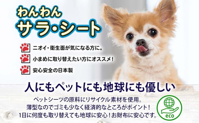 わんわんサラ・シートレギュラー 100枚×8個 ペットシーツ ペットシート リサイクル エコ 経済的 サラサラ トイレシート トイレシーツ ペット イヌ いぬ 犬 ワンちゃん わんちゃん 室内犬 多頭飼 シート シーツ 送料無料 お取り寄せ 岐阜県 美濃市