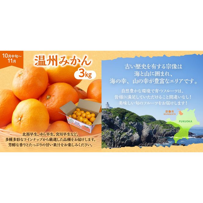 【定期便/年5回】JAむなかた厳選！人気フルーツ定期便【JAむなかた ほたるの里】_HB0164