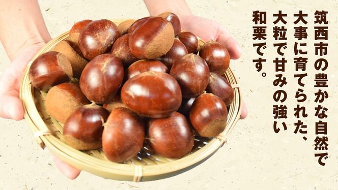 【 谷口農場 】 大粒 熟成 焼き栗 900g ( 2Lサイズ ) 300g × 3袋 完熟 栗 くり クリ 栗ごはん 果物 フルーツ 数量限定 [EC003ci]