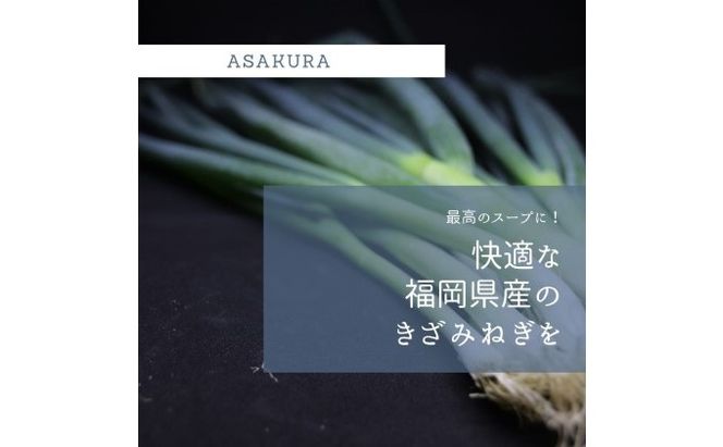 野菜 カット ねぎ 3kg（1kg×3袋）長ネギ 配送不可エリア有り 