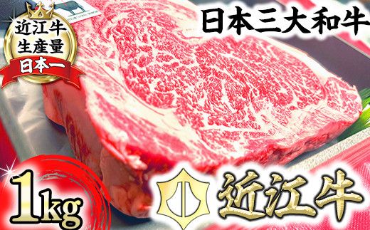 【定期便】近江牛定期便　塊肉　ブロック肉赤身霜降り食べ比べ　全2回【FO47W】