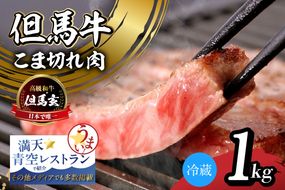 【但馬牛 究極の但馬牛 サーロインステーキ1kg 冷蔵】「満天 青空レストラン」で紹介！但馬玄 たじまぐろ あっさり 脂 最高級 牛肉 国産 サーロイン ステーキ BBQ キャンプ 和牛 但馬ビーフ 但馬 大人気 人気 ふるさと納税 返礼品 おすすめ ランキング 香美町 村岡 上田畜産 TJM 01-09