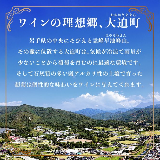 エーデルワイン 五月長根 リースリング・リオン やや辛口  白ワイン４本セット 【395】
