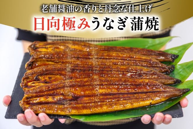 うなぎ 国産 日向極み うなぎ蒲焼 4尾 計480g以上 【たれ・山椒付き】 [日向サンパーク 宮崎県 日向市 452061501] ギフト 小分け 真空パック 鰻 ウナギ うなぎの蒲焼 蒲焼 蒲焼き
