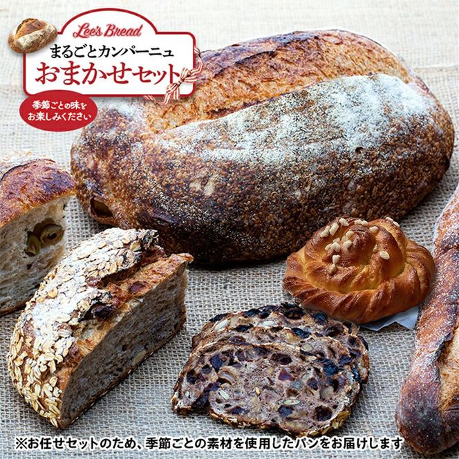 159-2025-08　Lee's Breadまるごとカンパーニュおまかせセット　天然酵母パン　ハード系ブレッド　カンパーニュ　配送地域限定【 神奈川県 大磯町 無農薬 国産小麦粉 天然酵母 バブカほうじ茶 フルーツナッツライ麦 贈答品 父の日 お歳暮 】
