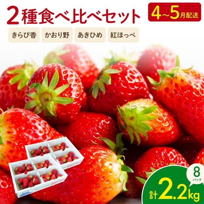 【先行予約 2025年4月より順次発送予定】 いちご 2種 2kg 以上 苺 旬 産地 直送 フレッシュ イチゴ 紅ほっぺ 章姫 きらぴ香 かおりの フルーツ 果物 国産 ジャパン ベリー 静岡県 藤枝市 [PT0040-000003]