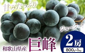 【先行予約】巨峰 2房（約800g～1kg） 魚鶴商店 《2025年8月中旬-9月末頃出荷》 和歌山県 日高町 フルーツ ぶどう 巨峰 2kg 和歌山県産 送料無料---wshg_cuot63_8c9m_24_12000_2f---