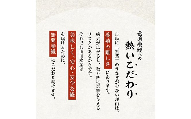 【無薬養鰻】 鹿児島産 山田のうなぎ ＜計960g以上＞ (160g以上×6尾) c2-014