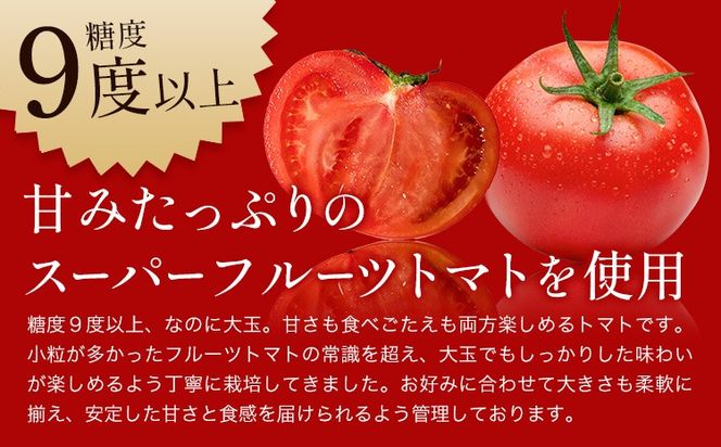 ビール クラフトビール トマト TOMATO ALE 330ml × 3本 《30日以内に出荷予定(土日祝除く)》 QUADRA BREWING ＆ GARAGE 茨城県 結城市 お酒 酒 とまと 結城市産---yuki_qbg_1_3e---