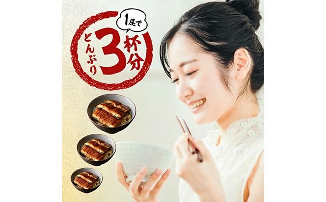 【数量限定】超特大！鹿児島県産 山田水産の霧島湧水鰻(計1400g以上・236g以上×6尾) c5-039