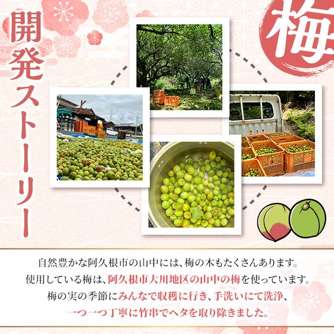 ＜数量限定＞梅酒「MOJOKA」(23度・500ml) 本格梅酒 お酒 アルコール 甕熟成 ボトル ロック ソーダ割り お湯割り もじょか【大石酒造】akn038-06