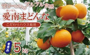 訳あり 愛南 まどんな 5kg 【 青秀品 】 みかん 20000円 愛果28号 紅まどんな と 同品種 あいか アイカ 高級 人気 ブランド 柑橘 果物 フルーツ ハウス栽培 施設栽培 ギフト プレゼント 数量限定 期間限定 産地直送 国産 農家直送 特産品 お取り寄せ mikan 蜜柑 ミカン マドンナ スマイルカット 甘い おいしい ゼリー ぷるぷる 果樹園みどり 愛南町 愛媛県