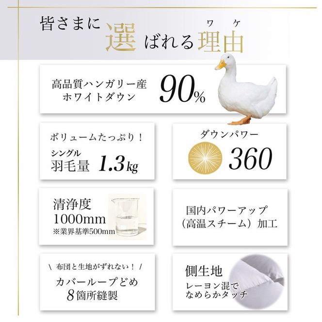 【パウダーグレー】軽くて暖か 京都金桝 羽毛布団 本掛け シングル ハンガリーホワイトダウン90％ DP360 日本製 京都亀岡産 ｜ 冬用 掛け布団 掛布団 ｜ アクア 