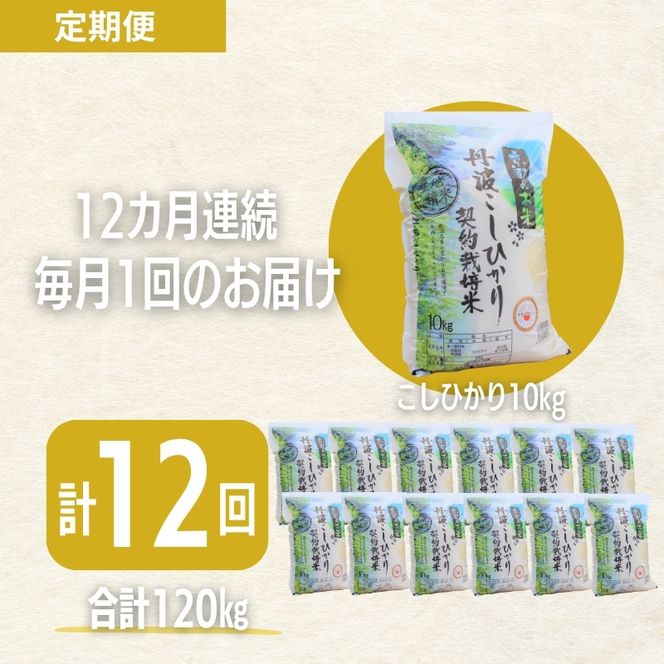 【12カ月定期便】令和7年産 京都丹波産 こしひかり 10kg 合計120kg