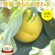 2026年 早期受付 岡山県産 黄桃 黄ららのきわみ (約2.0kg) 6～8玉 桃 もも 果物 フルーツ