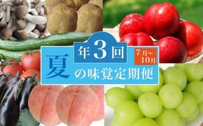 ［3回定期便］ 夏の味覚3回コース ［小布施屋］ 先行予約 フルーツ 果物 くだもの 野菜 やさい 数量限定 ネクタリン 桃 シャインマスカット ぶどう クール便 冷蔵 お楽しみ 3回お届け 長野県産 信州産 令和8年産 【2026年7月～10月発送】