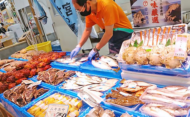【三陸厳選】岩船商店おまかせ海産物詰め合わせセット（1）岩手県宮古市 海の幸 旬の魚 詰め合わせ