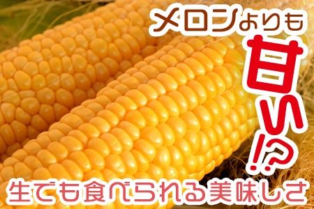 予約受付！＜朝採れ！国富町産ゴールドラッシュ4.5kg3L11本＞2025年5月下旬～7月上旬迄に順次出荷【 とうもろこし スイートコーン 先行予約 野菜 穀物 甘い トウモロコシ 季節物 数量限定 とうきび コーン 】 【a0579_sn】