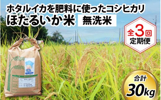 ほたるいか米（無洗米10kg）×3回 計30kg【3ヶ月定期便】