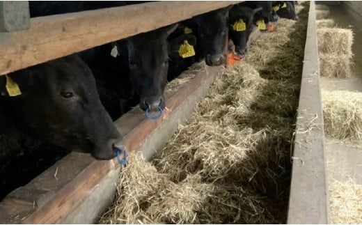 【自社農場宮崎牛】柏原和牛モモ しゃぶしゃぶ・すき焼き用 1キロ（国産 牛肉 お肉 ブランド牛 黒毛和牛 すき焼き しゃぶしゃぶ A4 A5）