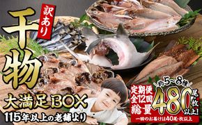 ＜定期便・全12回 (毎月)＞訳あり 干物大満足BOX (480尾以上)定期便 簡単 調理 干物 あじ かます さば いわし みりん干し 丸干し 開き 魚 海鮮 冷凍 詰め合わせ セット 大分県 佐伯市【AQ91】【やまろ渡邉】