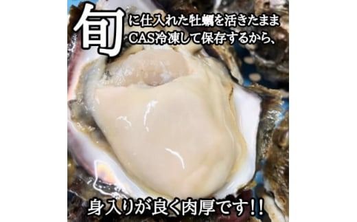 篠島の2種の天然殻付きカキ4kg(岩牡蠣&真牡蠣)食べ比べセット 生食用/CAS冷凍　海鮮BBQに!