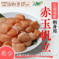 33-31 【希少】お刺身用 赤帆立800g　｜北海道産　グルメ　海鮮丼