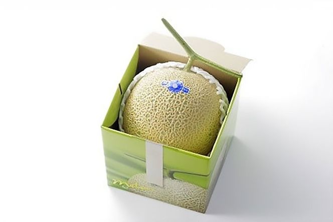 AJ650 【令和8年7-8月出荷分】 堀農園 マスクメロン 1玉 [ メロン めろん 青肉メロン 黄緑 果物 フルーツ おいしい 甘い 堀農園 長崎県 島原市 ]